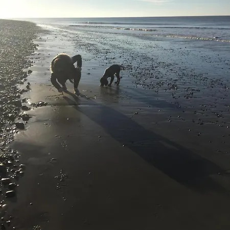 Couette-café L'instant