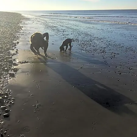 L'instant Nocleg ze śniadaniem Cayeux-sur-Mer